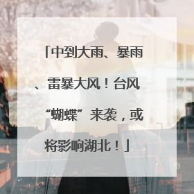 中到大雨、暴雨、雷暴大风！台风“蝴蝶”来袭，或将影响湖北！